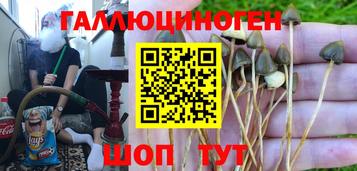 Псилоцибиновые грибы Magic Shrooms  купить   Шелехов  Вход с VPN 